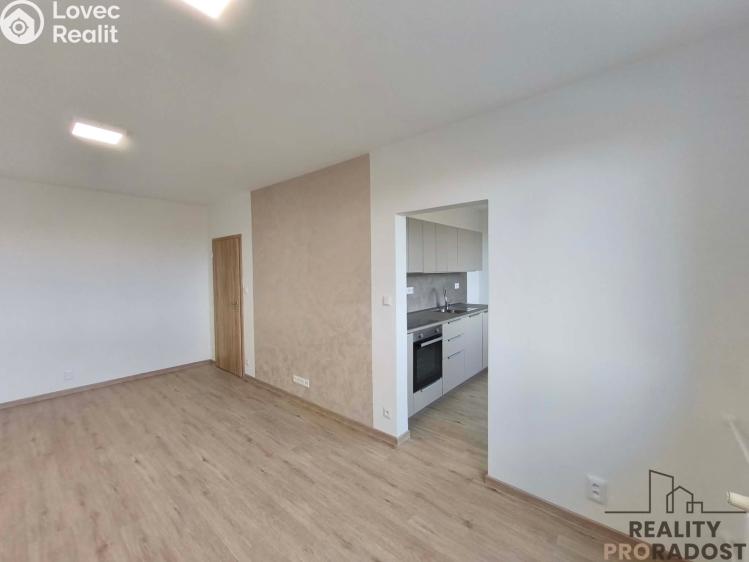 Rent apartment 3+1 Holešov, Novosady č. 7
