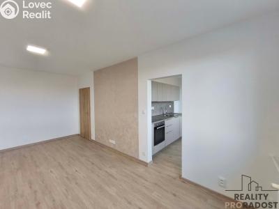 Pronájem bytu 3+1 Holešov, Novosady č. 6