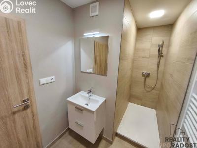 Pronájem bytu 3+1 Holešov, Novosady č. 3