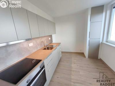 Pronájem bytu 3+1 Holešov, Novosady č. 6