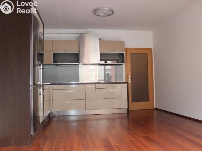 Pronájem bytu 2+KK Pardubice, Jana Palacha 2783 č. 3