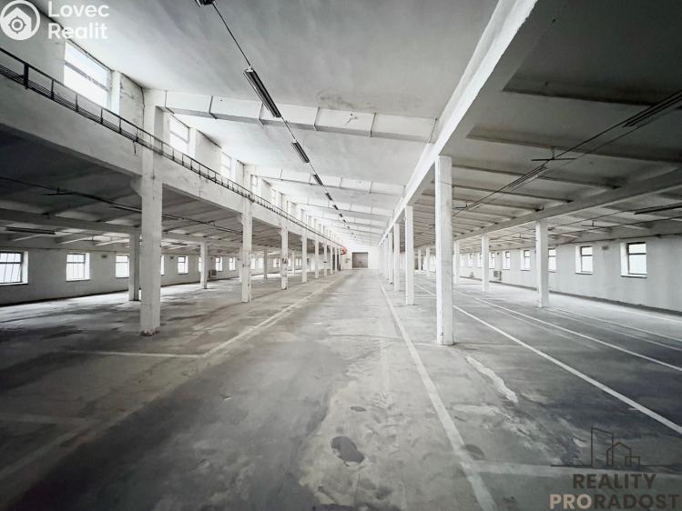Sale production hall Hustopeče č. 1