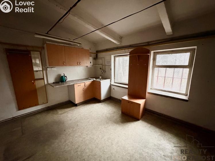 Sale production hall Hustopeče č. 3