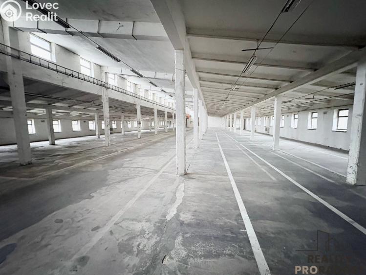 Sale production hall Hustopeče č. 5