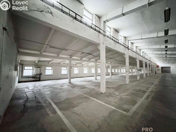 Sale production hall Hustopeče č. 6