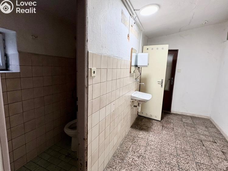 Prodej výrobní haly Hustopeče č. 9