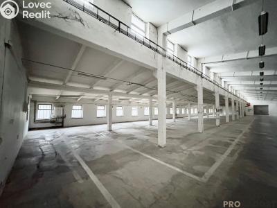 Prodej výrobní haly Hustopeče č. 6