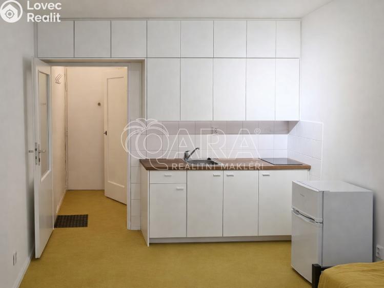 Pronájem bytu 1+KK Praha, Petra Rezka 1190/4 č. 1