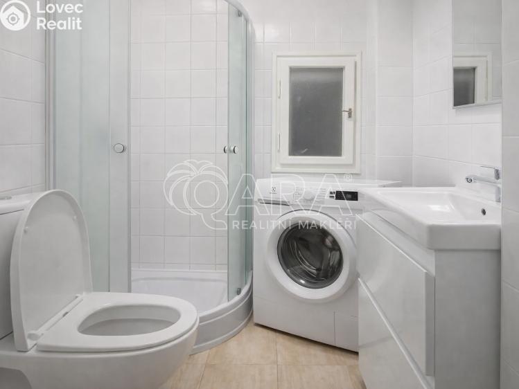 Pronájem bytu 1+KK Praha, Petra Rezka 1190/4 č. 3