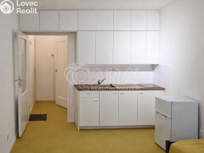 Pronájem bytu 1+KK Praha, Petra Rezka č. 1