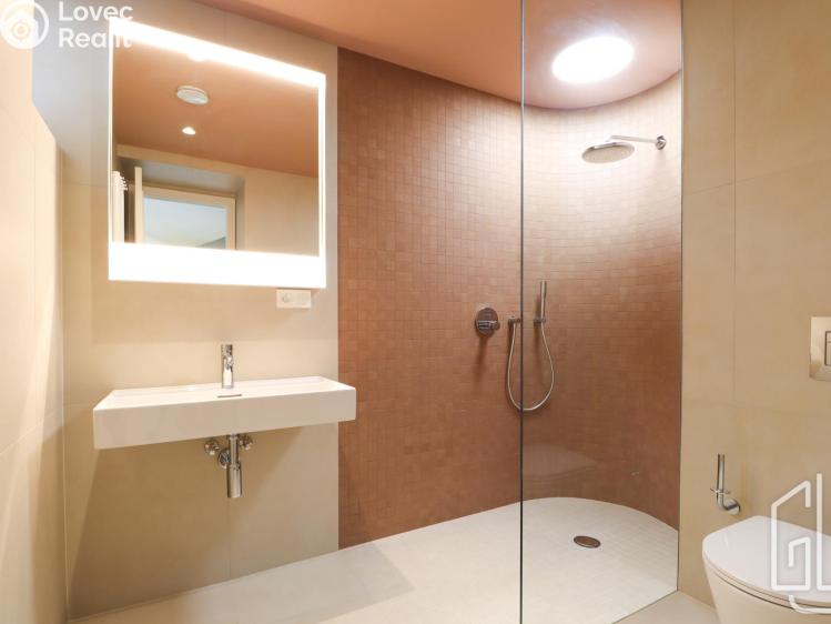 Pronájem bytu 1+KK Praha, Boleslavova č. 1