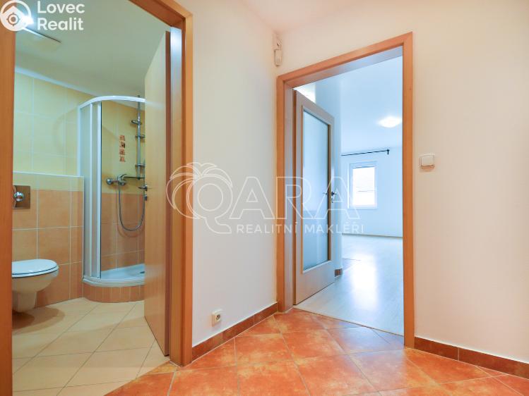 Pronájem bytu 1+KK Praha, Nad šestikopy 835/1 č. 7