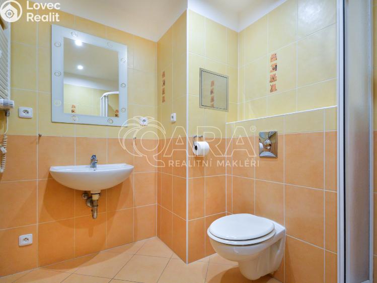 Аренда квартиры 1+KK Praha, Nad šestikopy 835/1 č. 8