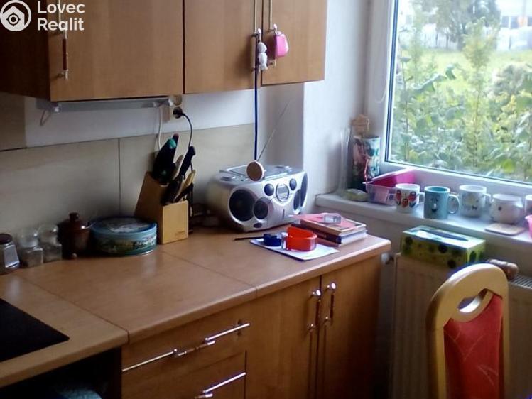 Pronájem bytu 2+1 Prostějov č. 1