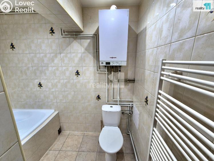 Pronájem bytu 1+1 Aš, Mikulášská č. 11