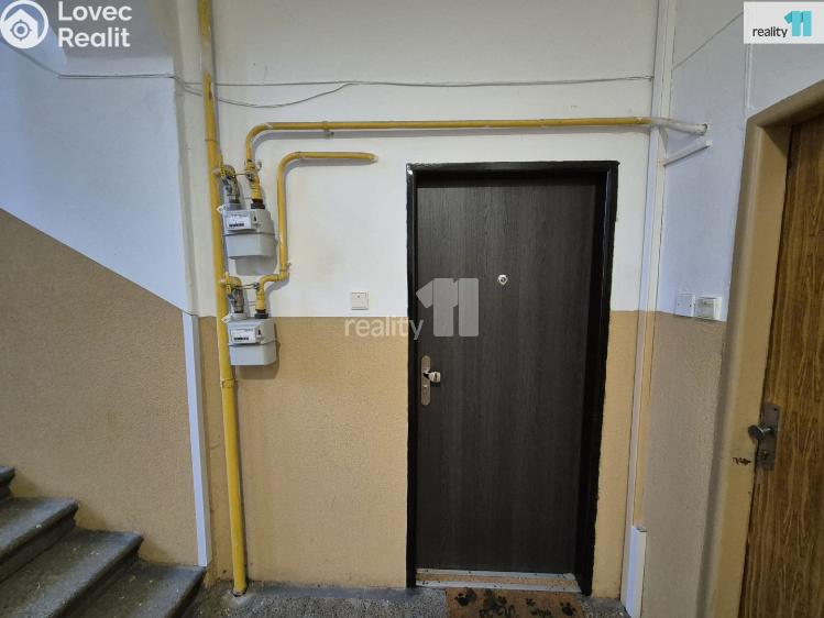 Pronájem bytu 1+1 Aš, Mikulášská č. 12