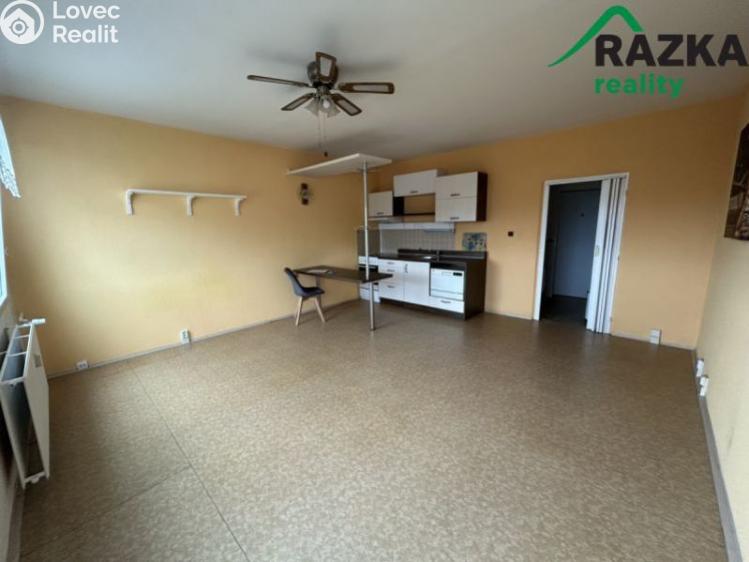 Rent apartment 1+KK Planá, Bohušova č. 3