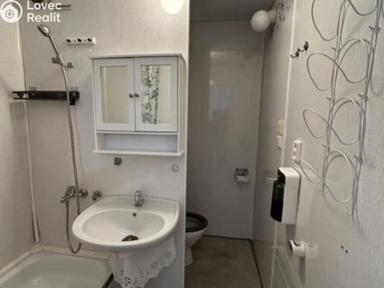 Rent apartment 1+KK Planá, Bohušova č. 7