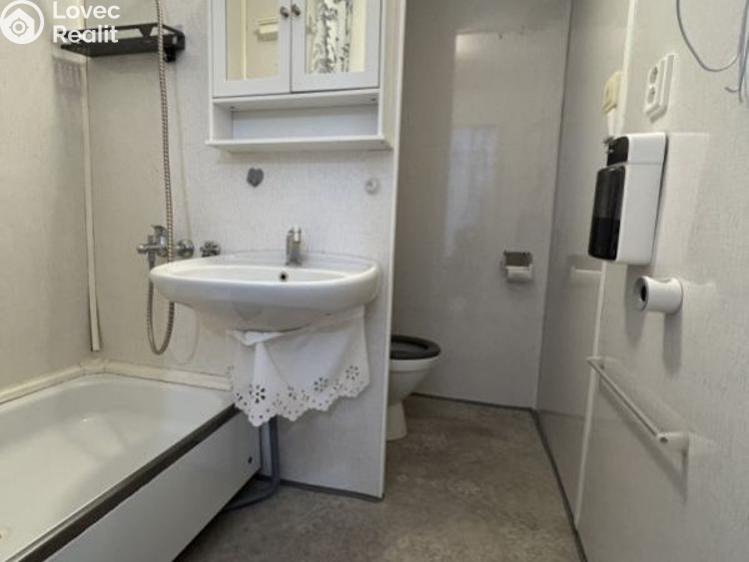 Rent apartment 1+KK Planá, Bohušova č. 8