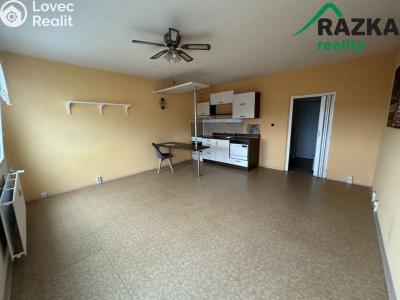 Оренда квартири 1+KK Planá, Bohušova č. 3