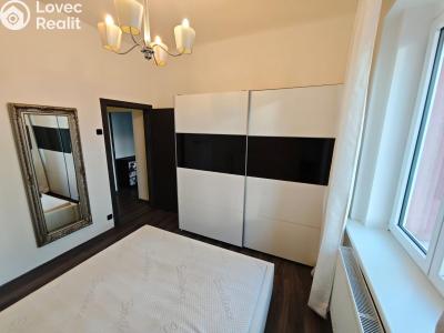 Pronájem bytu 2+1 Praha, Doudlebská č. 4