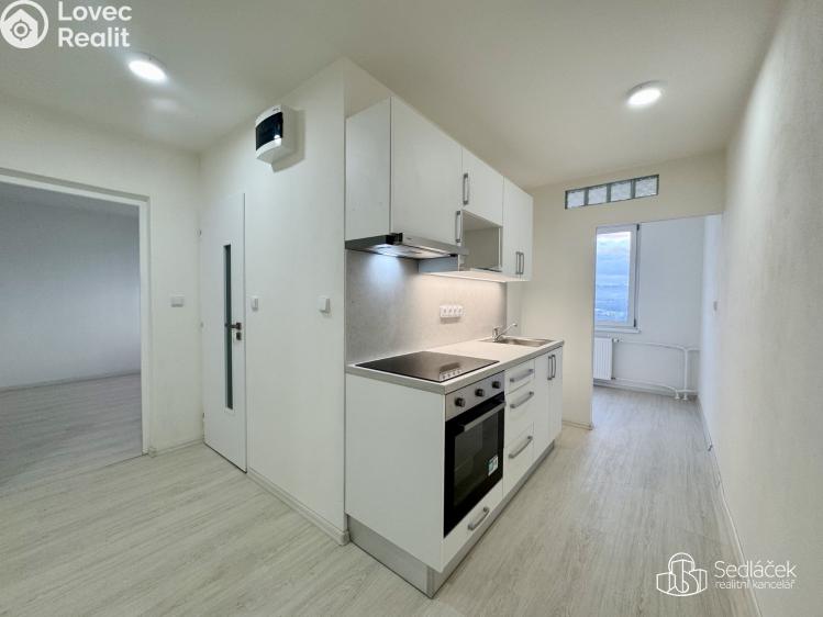 Pronájem bytu 2+KK Sokolov, Švabinského č. 3