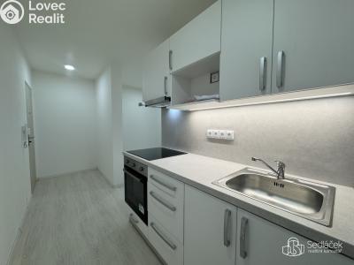 Pronájem bytu 2+KK Sokolov, Švabinského č. 1