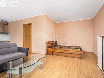 Pronájem bytu 1+KK Praha 9 č. 5