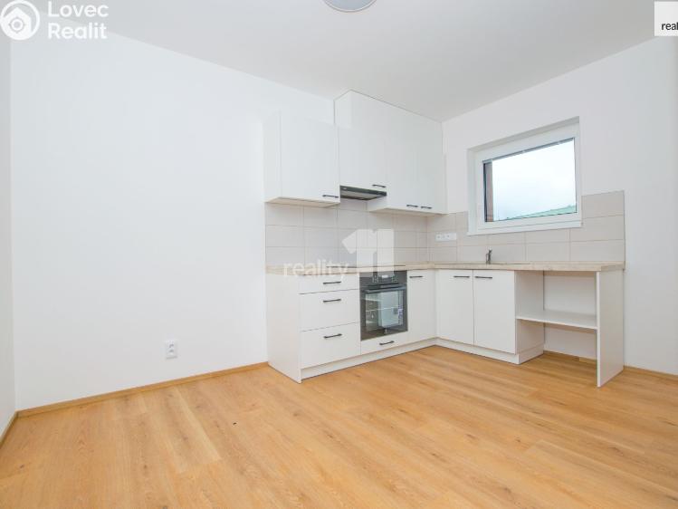 Pronájem bytu 1+KK Liberec, Londýnská č. 16