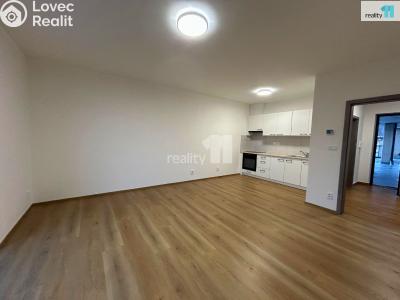 Pronájem bytu 1+KK Liberec, Londýnská č. 4
