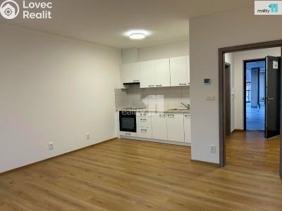 Pronájem bytu 1+KK Liberec, Londýnská č. 5