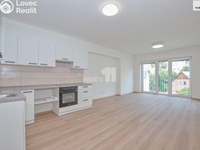 Pronájem bytu 2+KK Liberec, Papírová č. 1
