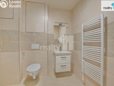 Pronájem bytu 2+KK Liberec, Papírová č. 6