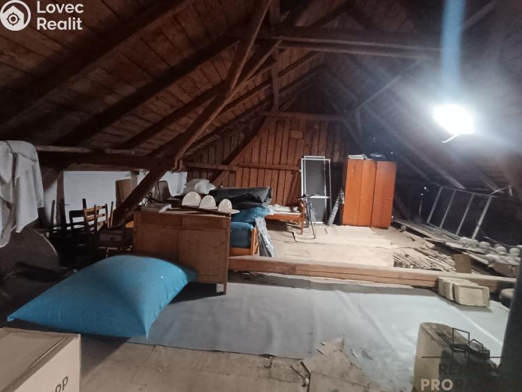 Продаж сімейного будинку Pavlov č. 13