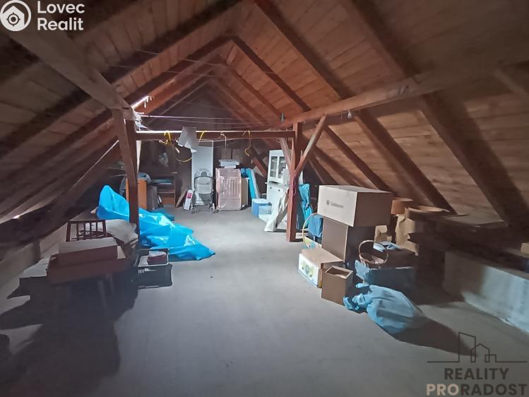 Продаж сімейного будинку Pavlov č. 14