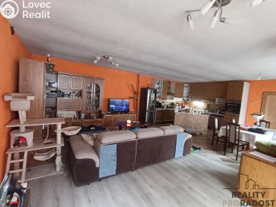 Продажа семейного дома Pavlov č. 2