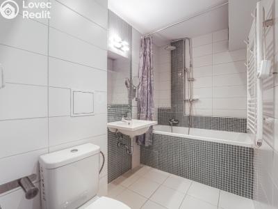 Prodej bytu 2+1 Plzeň, Dlouhá č. 6