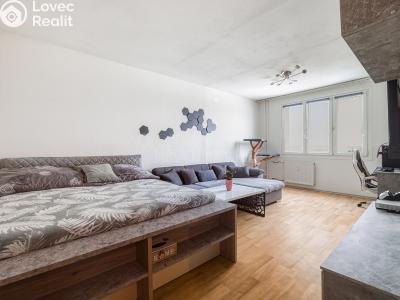 Prodej bytu 2+1 Plzeň, Dlouhá č. 6