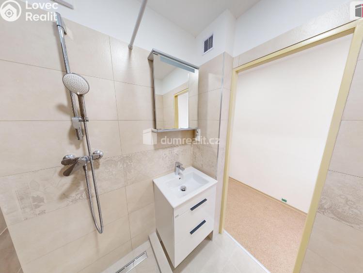 Pronájem bytu 1+1 Krnov, SPC E č. 3