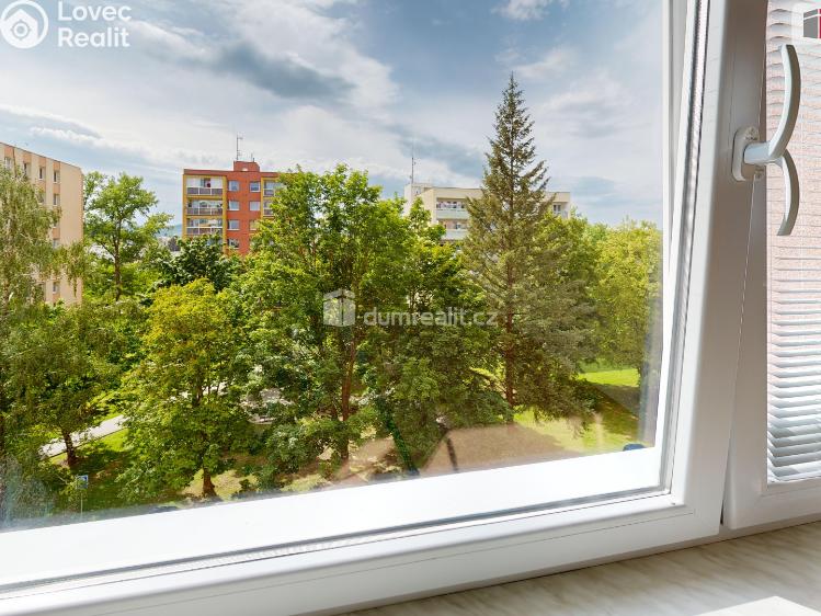 Pronájem bytu 1+1 Krnov, SPC E č. 4