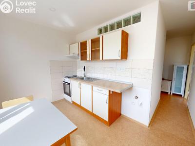 Pronájem bytu 1+1 Krnov, SPC E č. 5