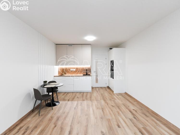 Pronájem bytu 1+KK Praha, Poděbradská 260/59 č. 4