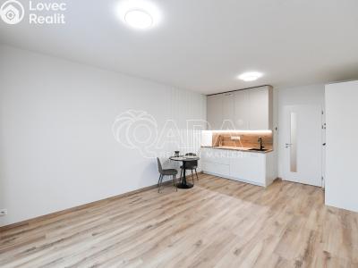 Pronájem bytu 1+KK Praha, Poděbradská č. 5