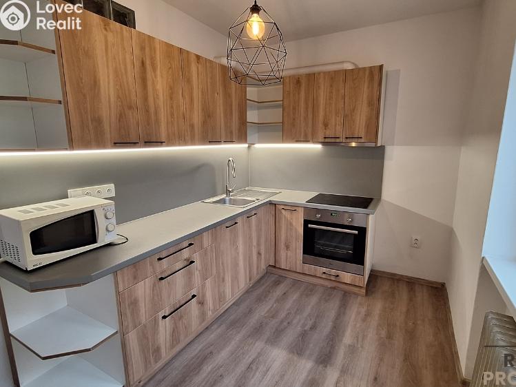 Аренда квартиры 2+1 Ústí nad Labem, Školní č. 1