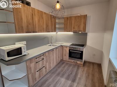 Pronájem bytu 2+1 Ústí nad Labem, Školní č. 1