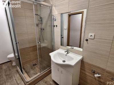 Pronájem bytu 2+1 Ústí nad Labem, Školní č. 6