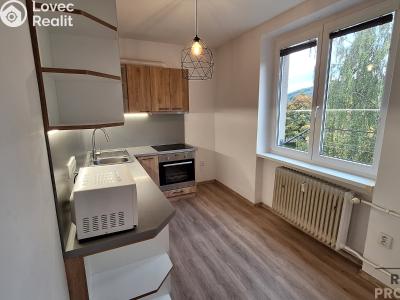 Pronájem bytu 2+1 Ústí nad Labem, Školní č. 2