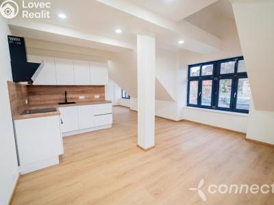 Продаж квартири 1+KK Nový Bor, Prokopa Velikého 1002 č. 1