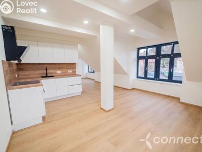 Продаж квартири 1+KK Nový Bor, Prokopa Velikého 1002 č. 4