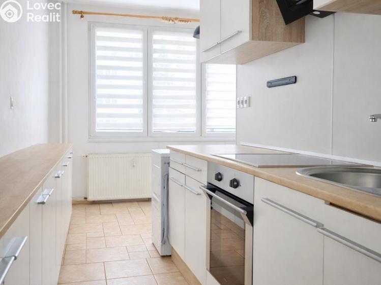 Pronájem bytu 2+1 Tábor, Kpt. Jaroše 2416 č. 2